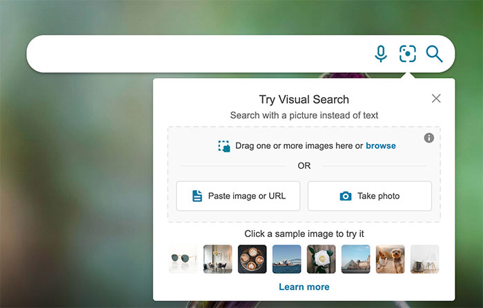 bing try visual search