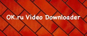 ok ru downloader di video